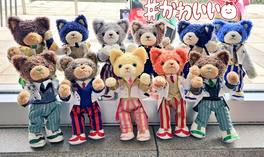 のん太郎 tweet media