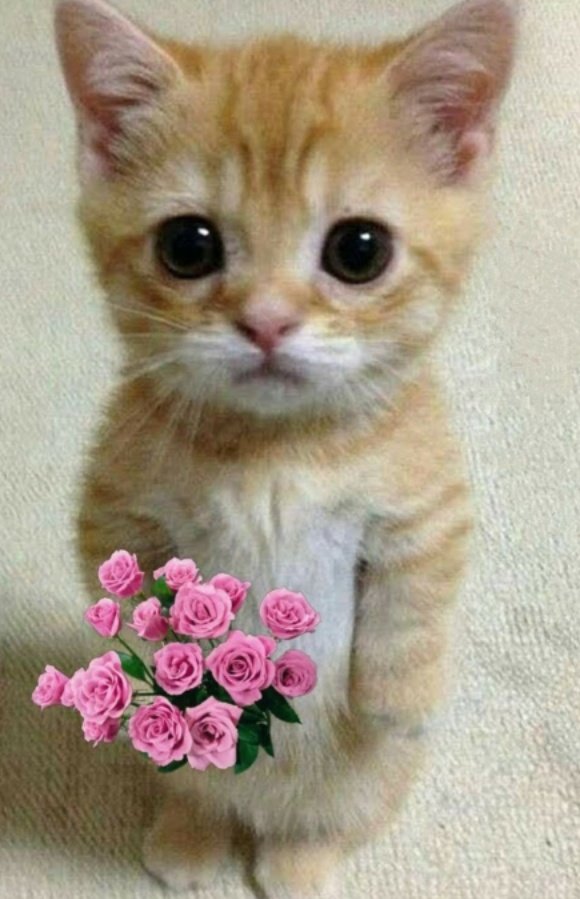 cuantik🌼 tweet media