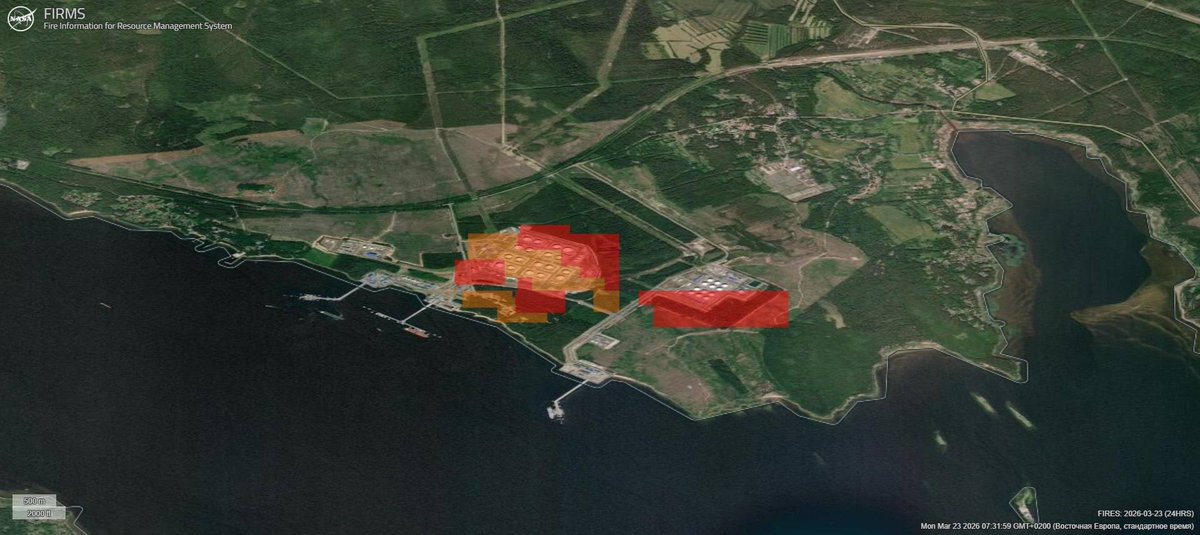 Rock - NAFO Raccoon tweet media