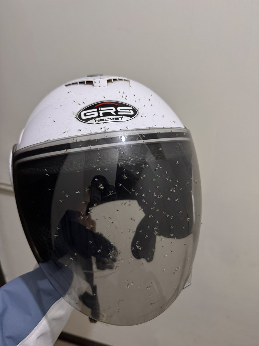 搖搖 tweet media