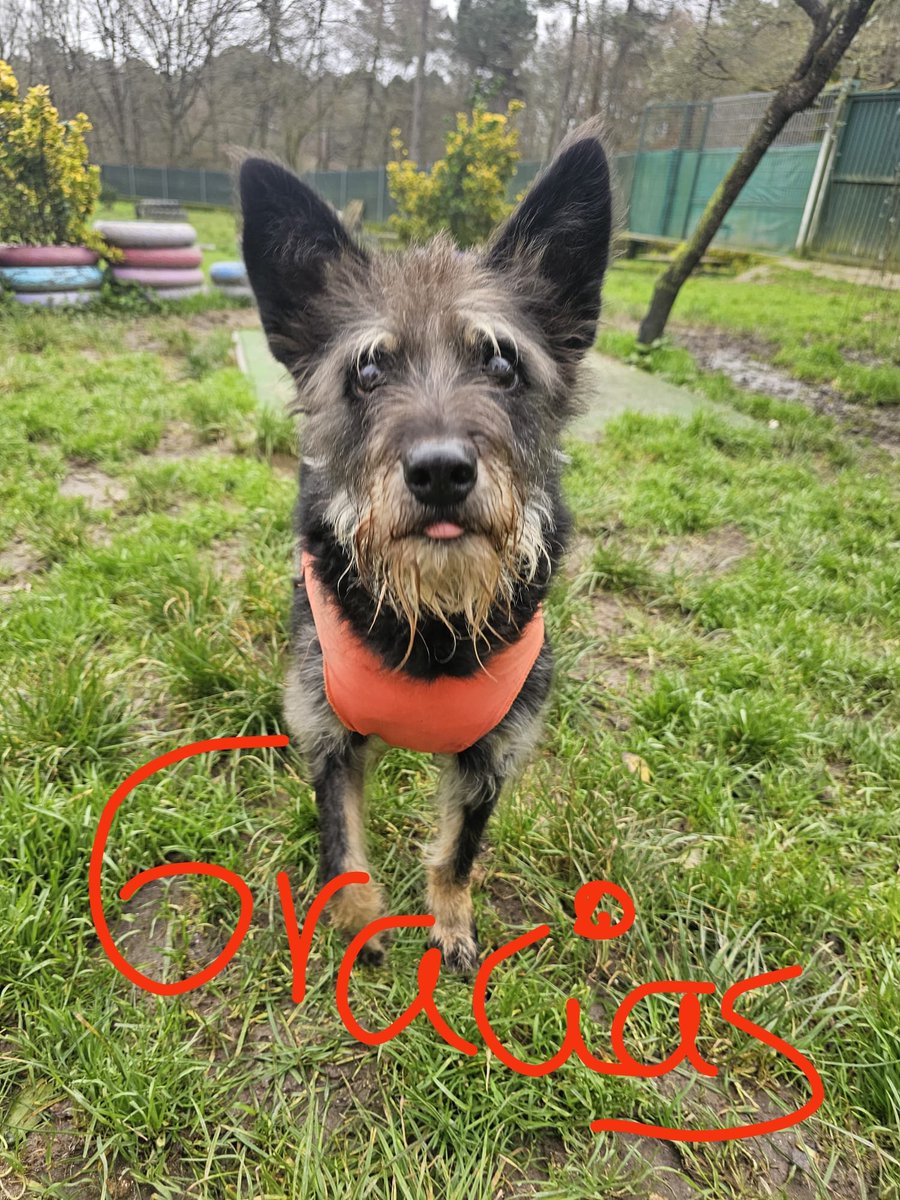 ᑭᏞᗩᑎᗴᎢᗩ Ꮓᗩᖇᑭᗩ tweet media