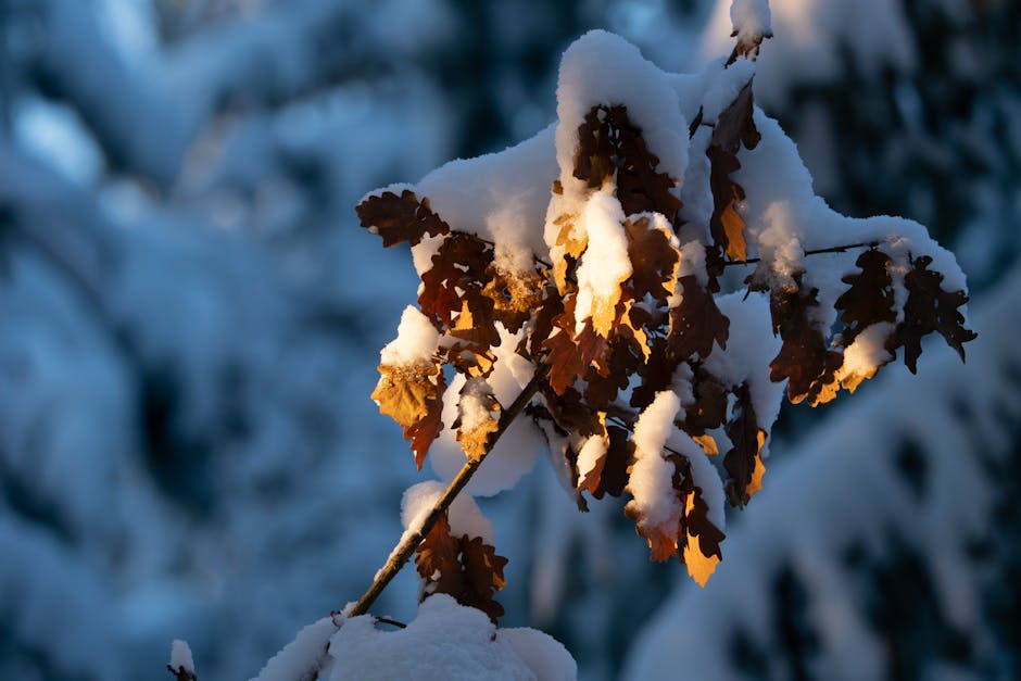 Jenna Holden tweet media