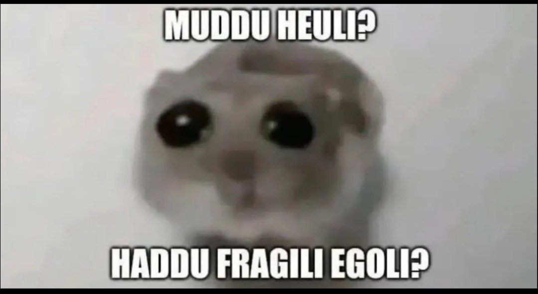 DerHinterfrager🤔🇩🇪 💙 tweet media