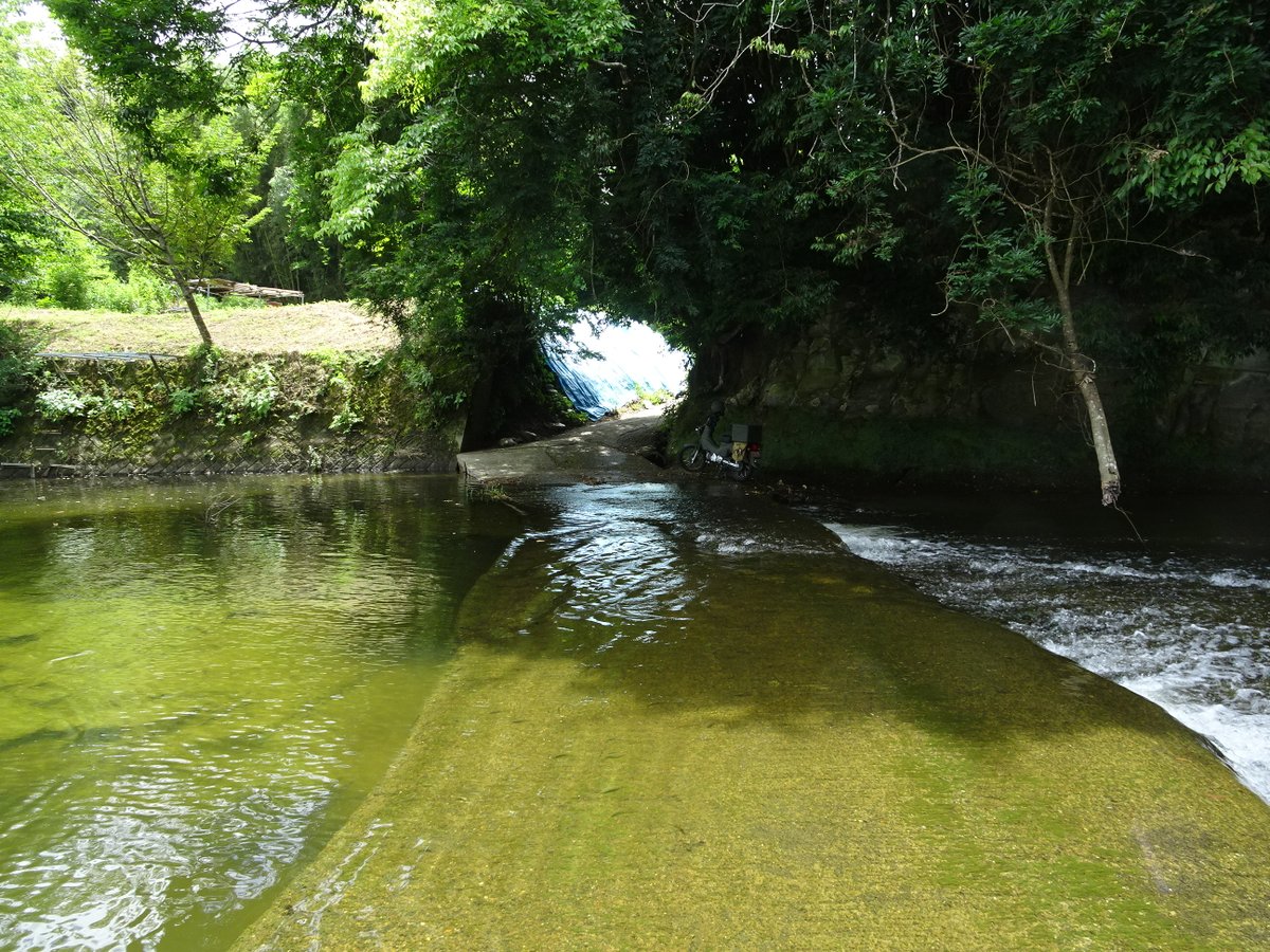 歩鉄の達人 tweet media