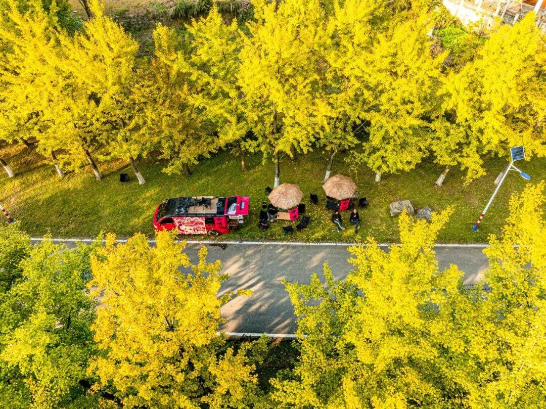 lexi becker tweet media