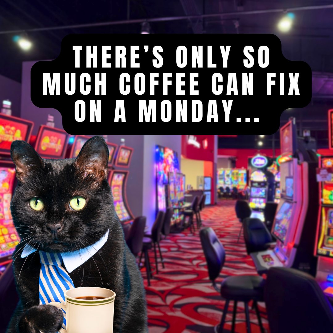 KickapooShawnee tweet media