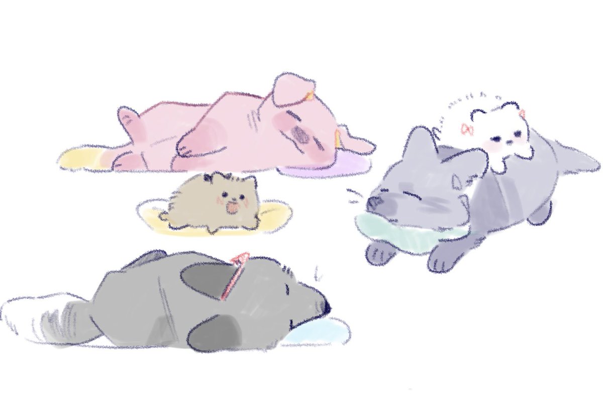 พิพิ tweet media