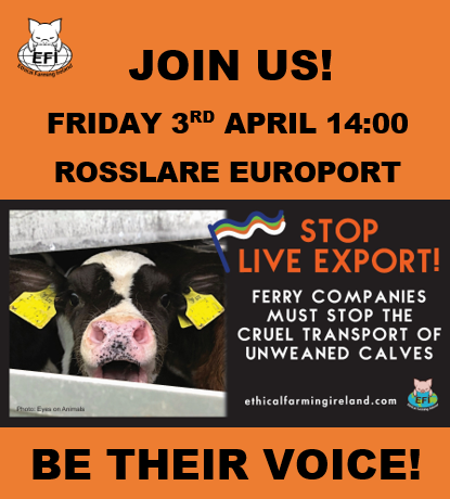 Ethical Farming Ireland tweet media