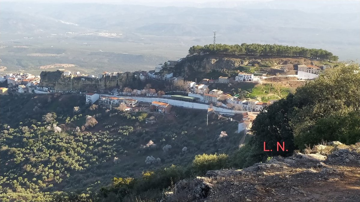 Eduardo Alvarado tweet media