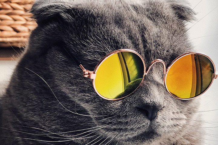 Servicios Editoriales a TU medida tweet media