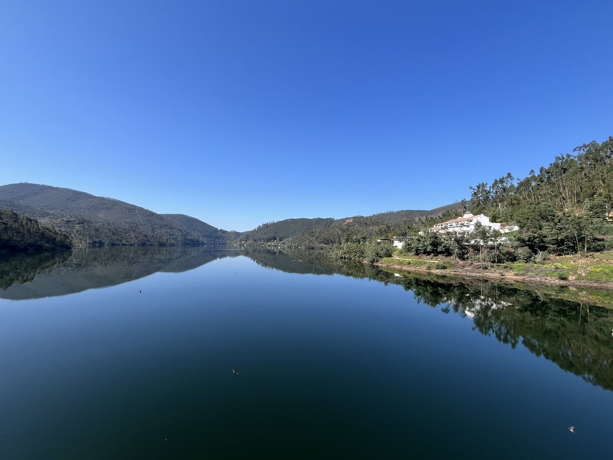 Angie Burns tweet media