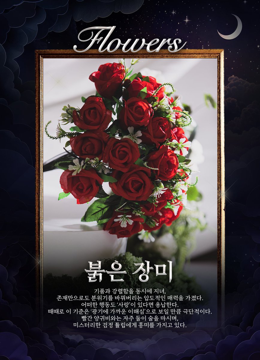 마녀의 화원 tweet media