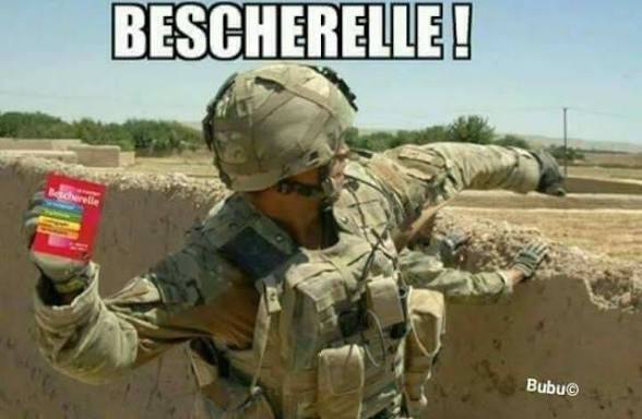 Caesar Howitzer 🇫🇷🦩🇺🇦 tweet media