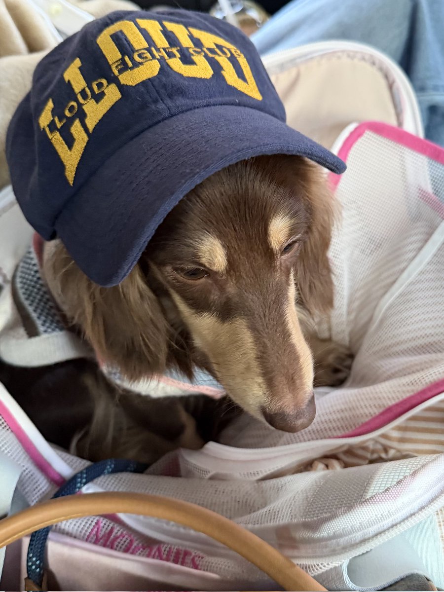 LISA BUBBLE tweet media