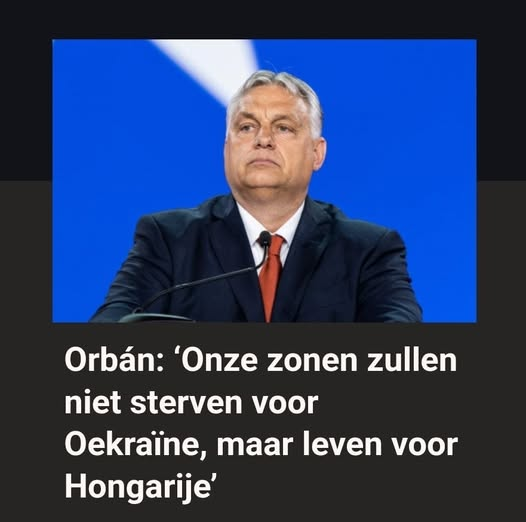 Wim den Oudsten tweet media