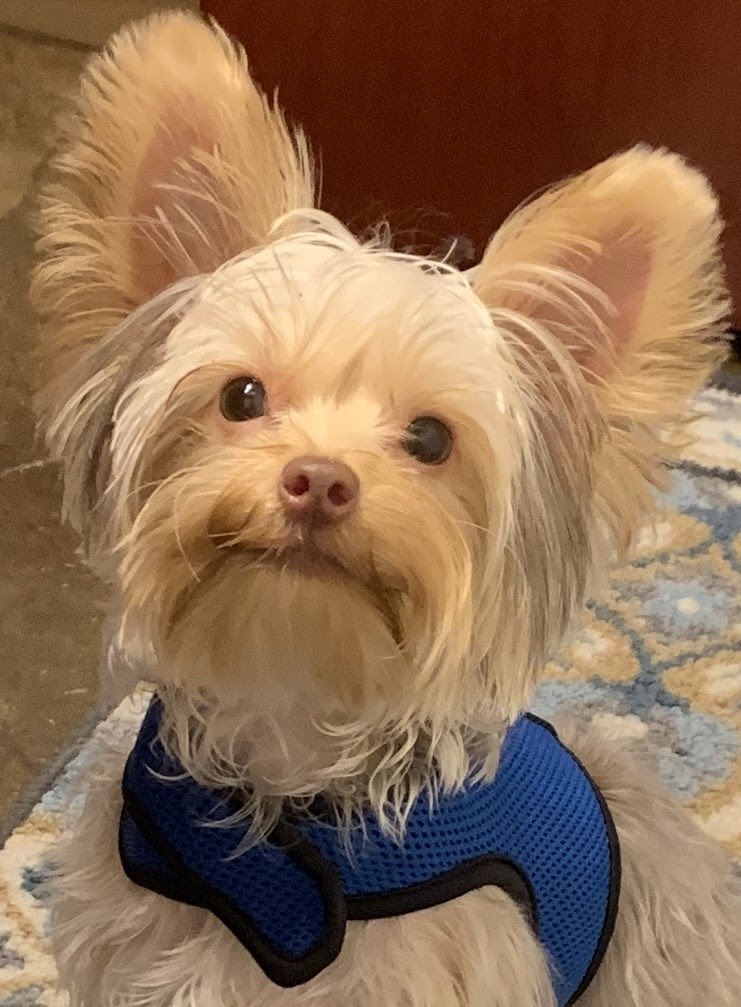 Dott Freeman tweet media