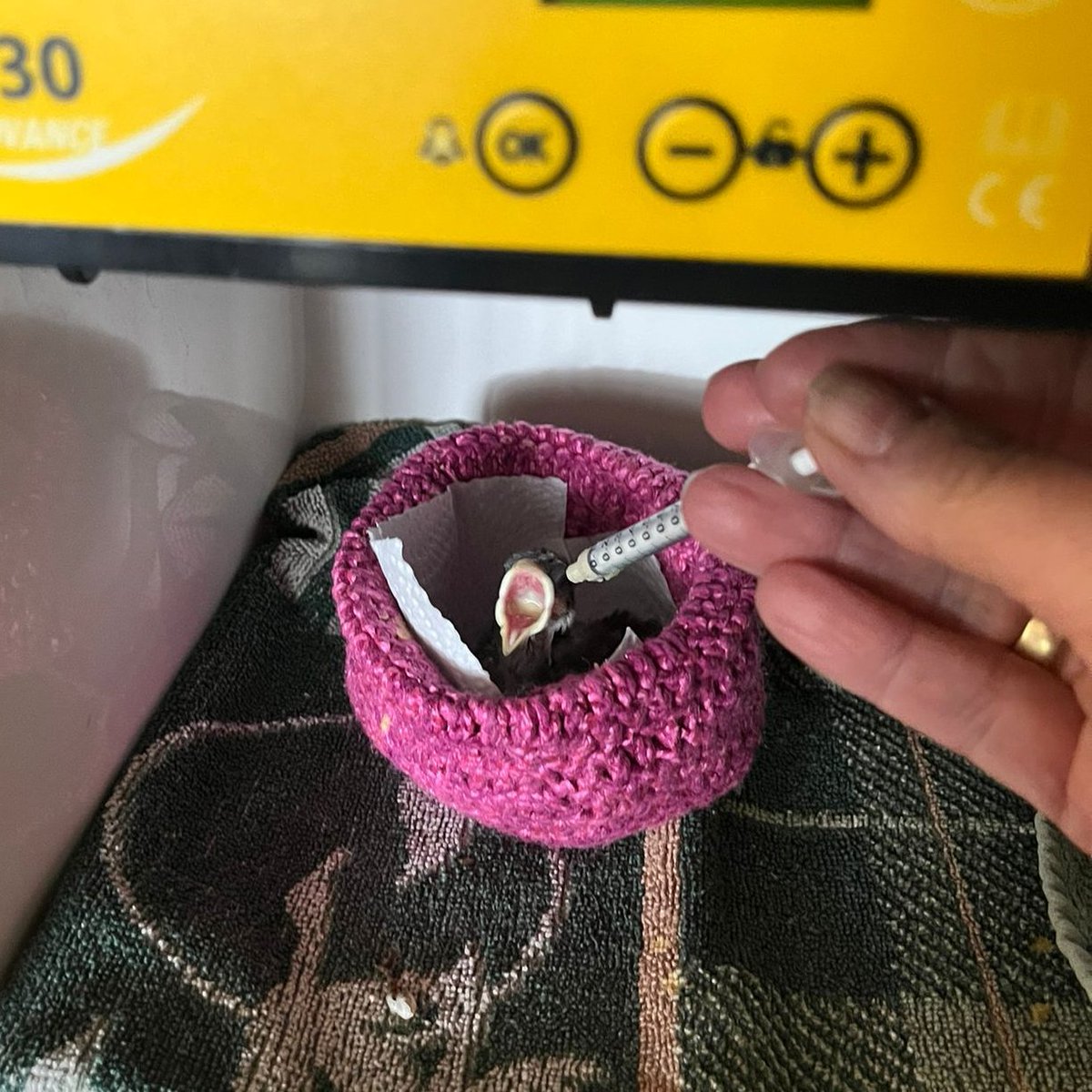 Stichting DierenLot tweet media