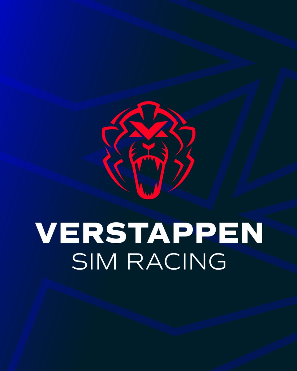 Verstappen Sim Racing tweet media