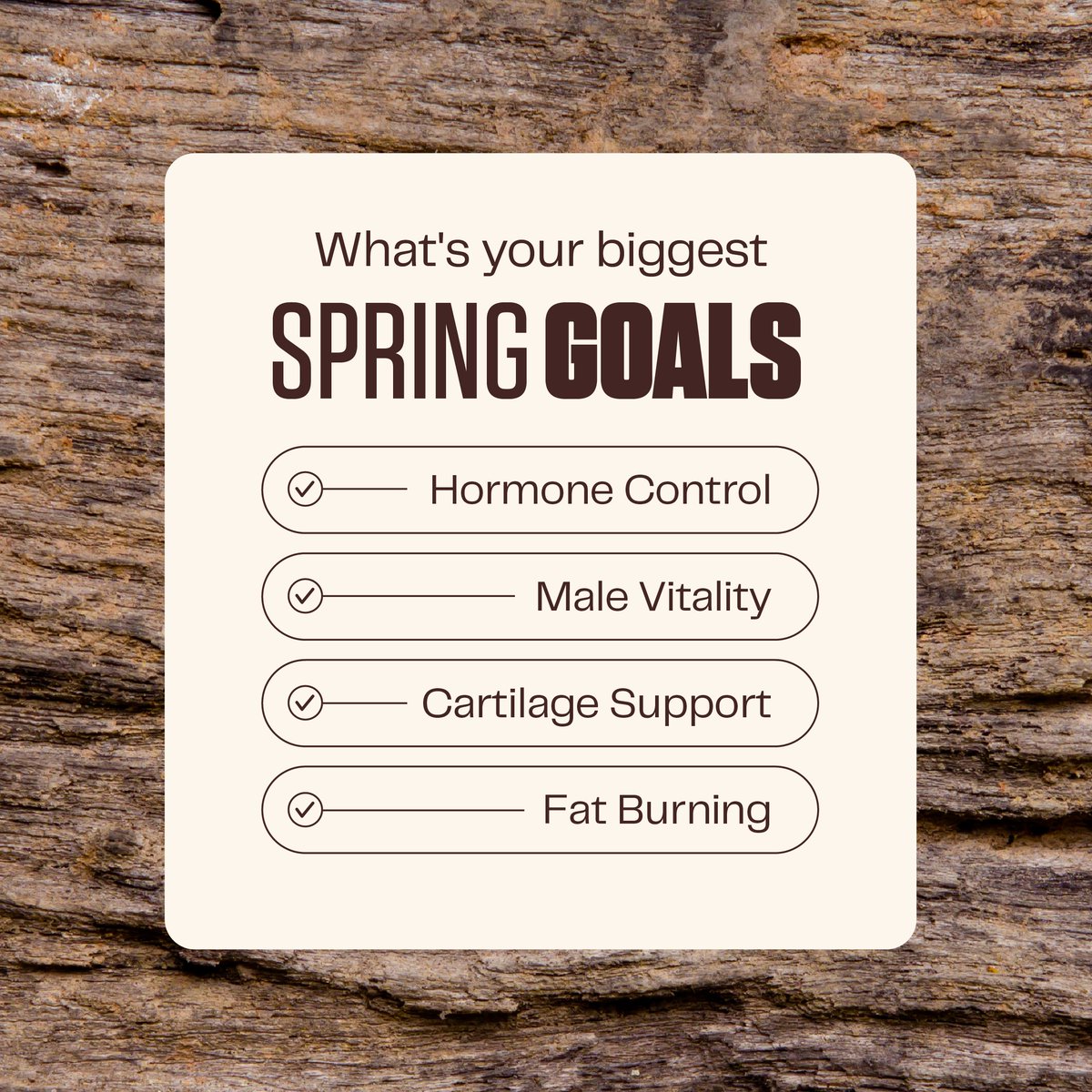 Beyond Alpha tweet media