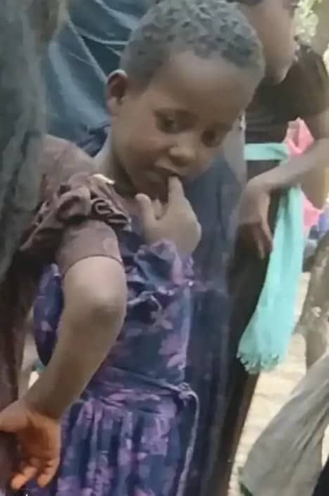 Ethiopian.Defenders tweet media