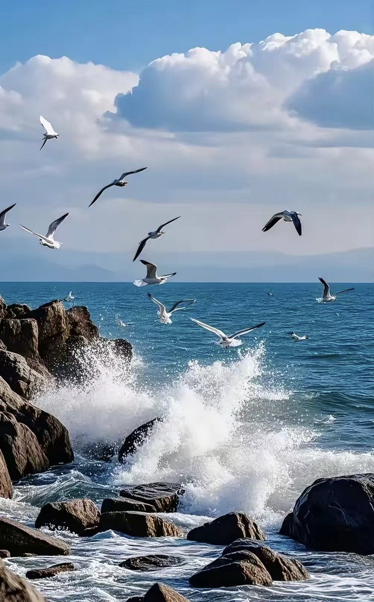 Felipe Sato tweet media