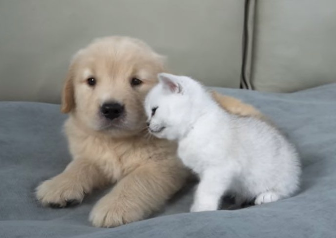 𝘮𝘱𝟥 tweet media