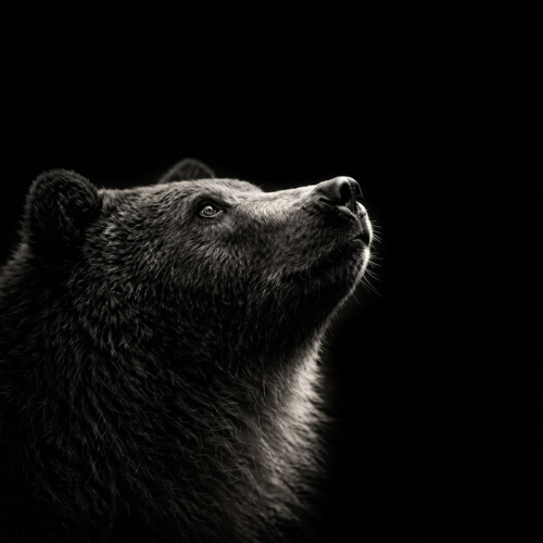 Tally ꨄ︎ tweet media