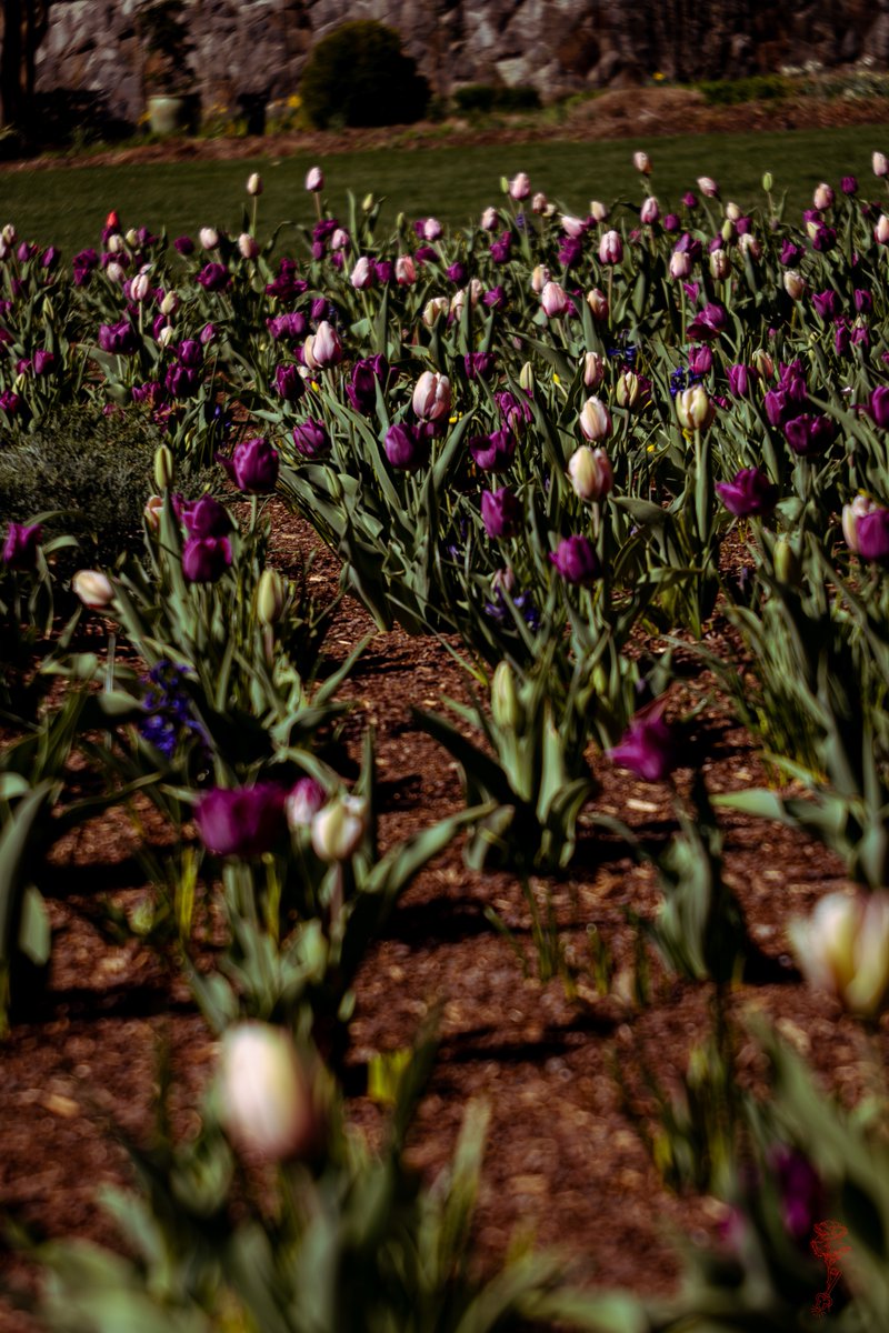 Anna Hitrova tweet media