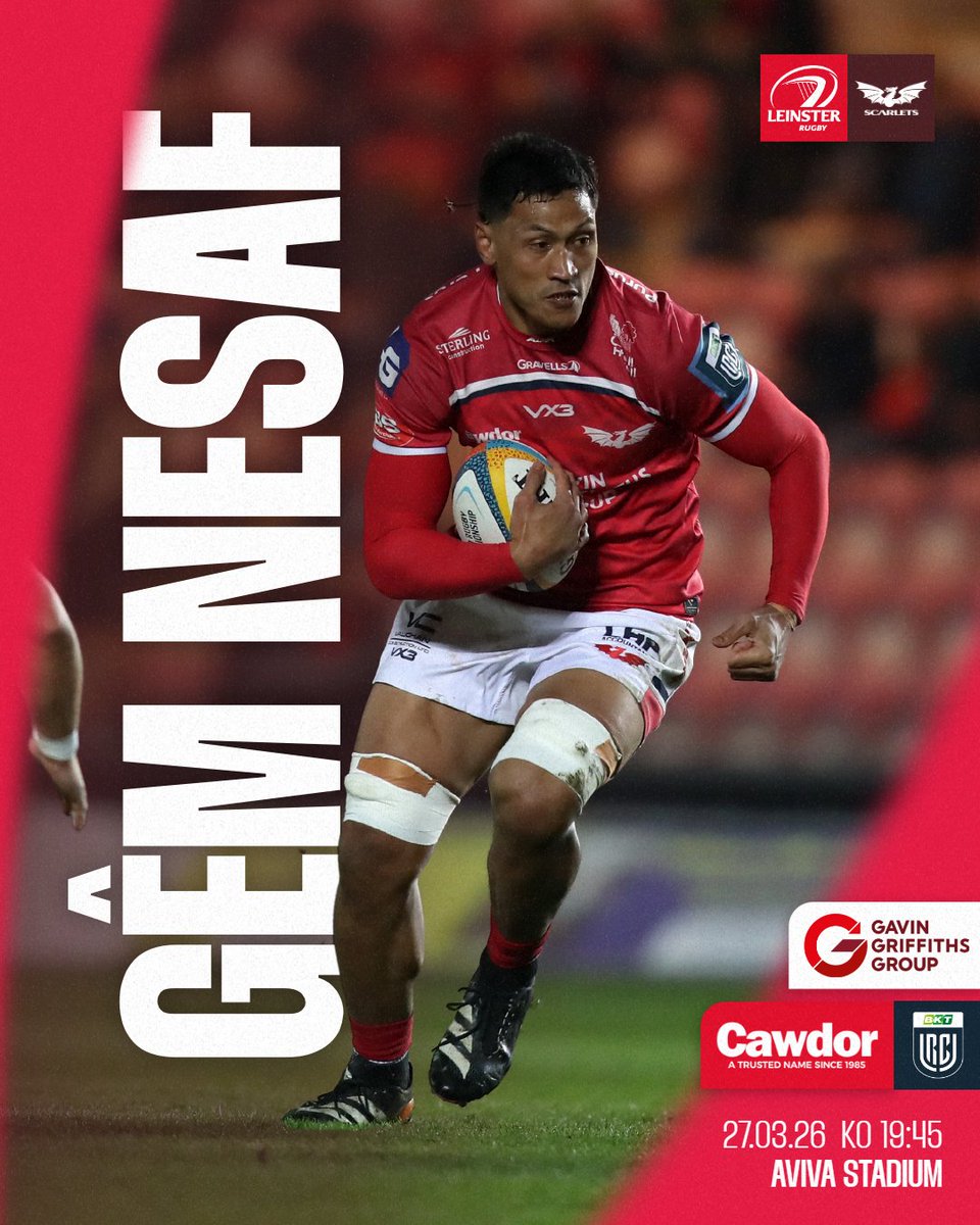 Scarlets Rugby tweet media