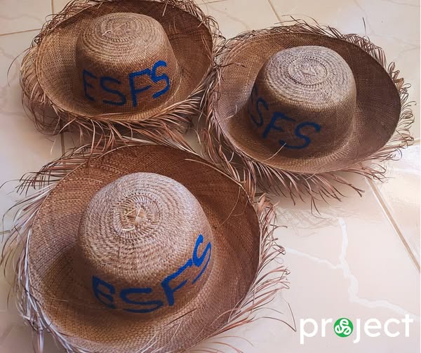 project trinitē tweet media