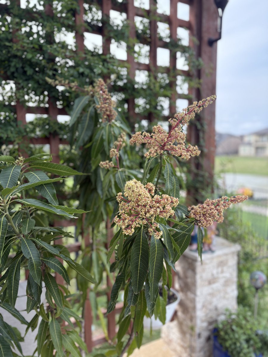 u_n_bearable 🇺🇸 tweet media