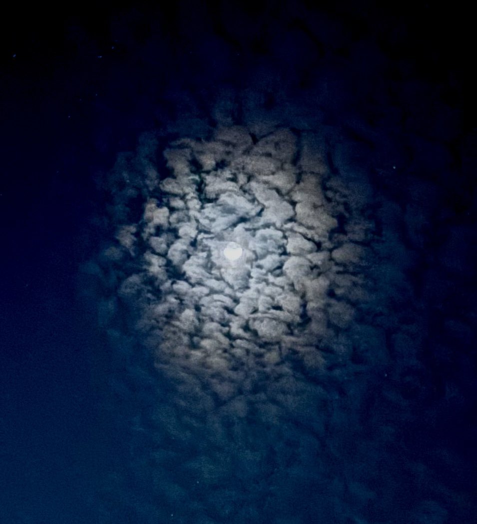 お知らせしときます。

直方のコミュニティFM
ちょっくらじおFM86.1 MHz
「あかさかば」に、
3月27日（金）19:00〜
出演させていただきます。

リスラジアプリで視聴できます。

良かったら🖐️

🌙きれいです〜ナウ。