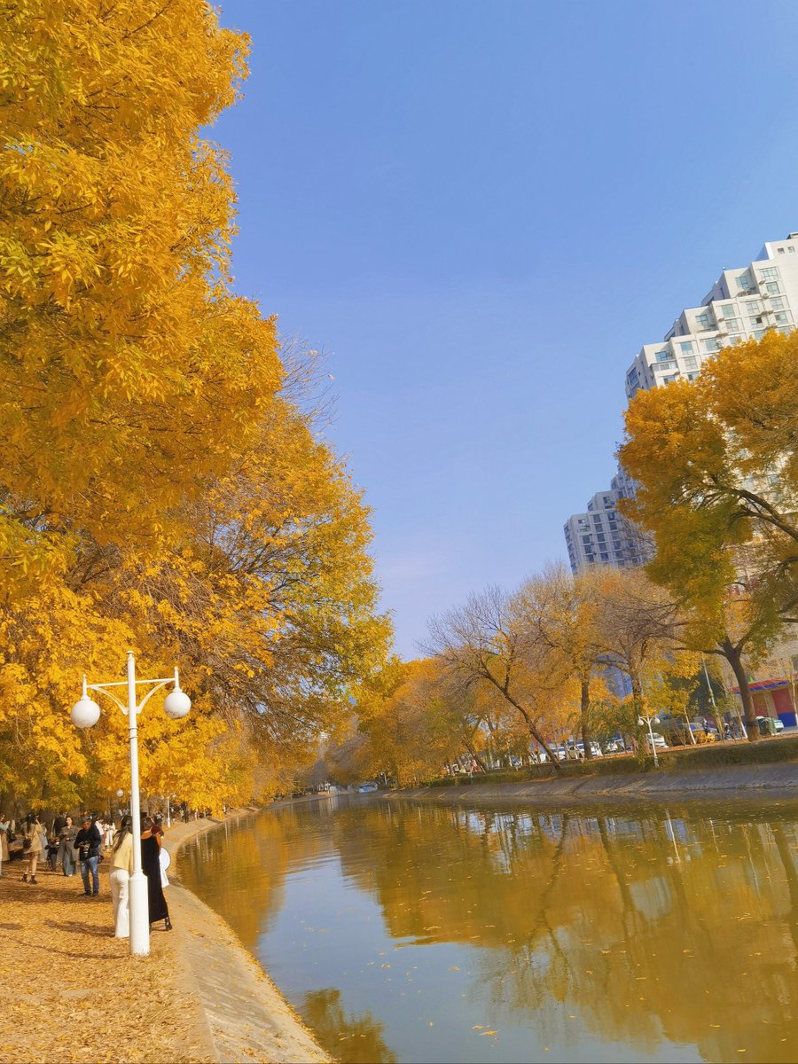 paul bruwer tweet media