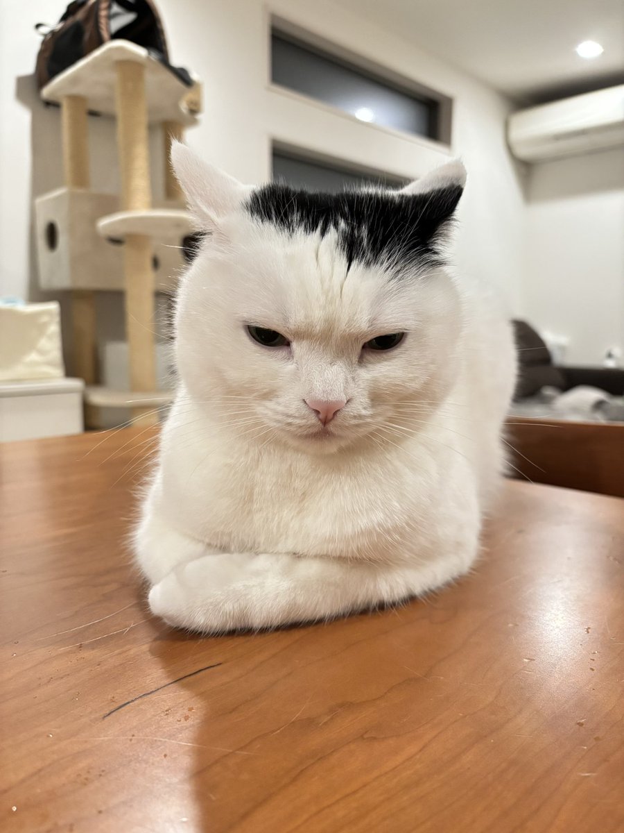 まつもとたける tweet media