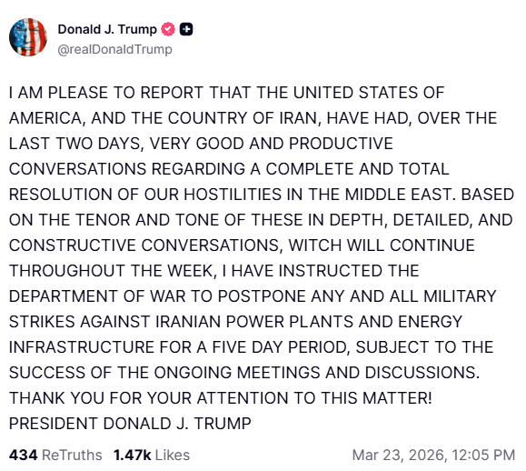 WhalePanda tweet media