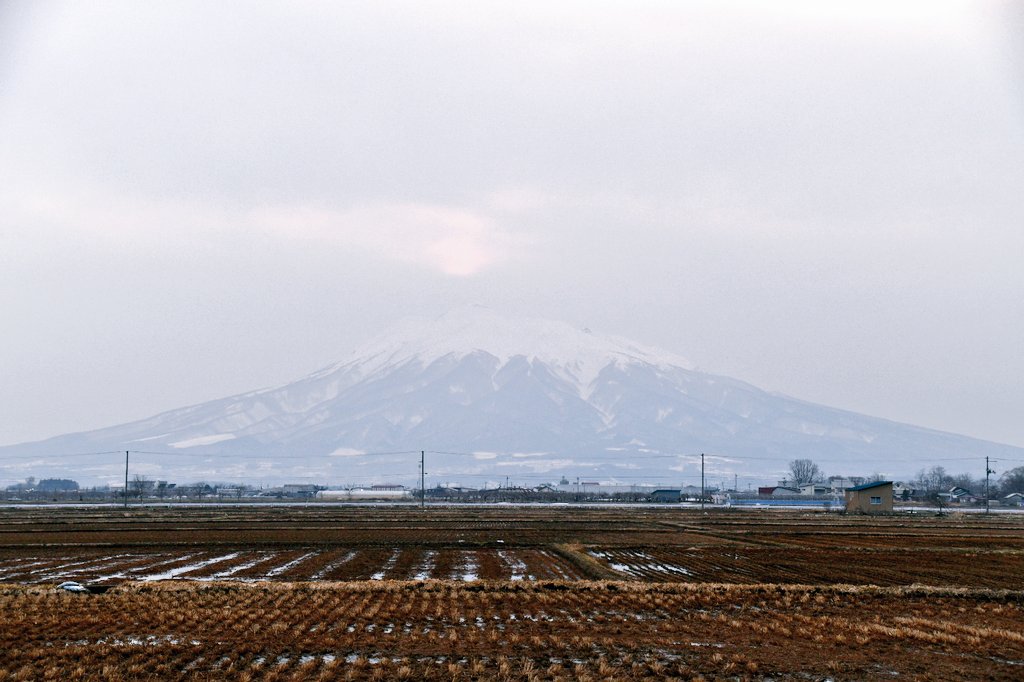 ためのぶ津軽人 tweet media