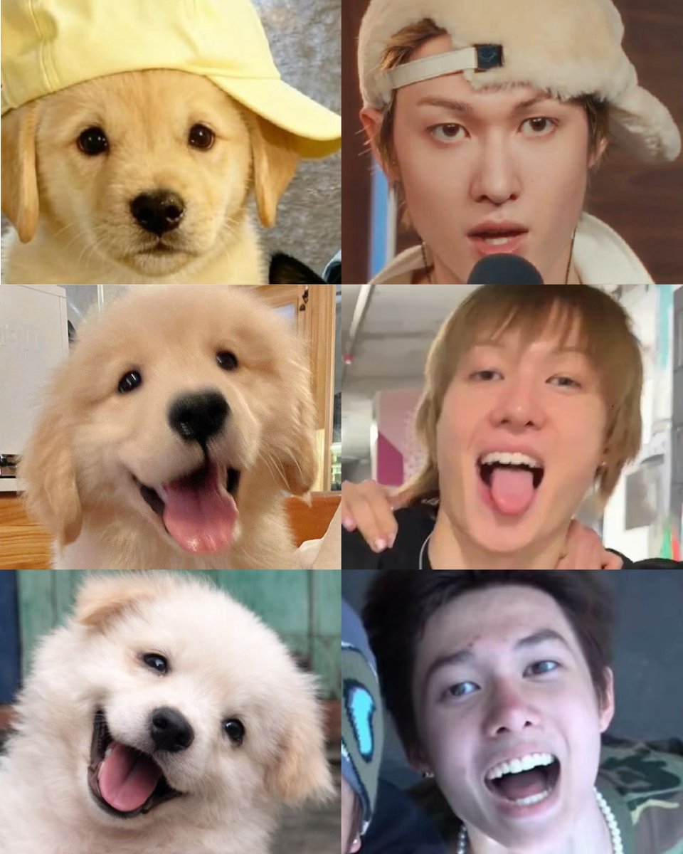 beep -✿ tweet media