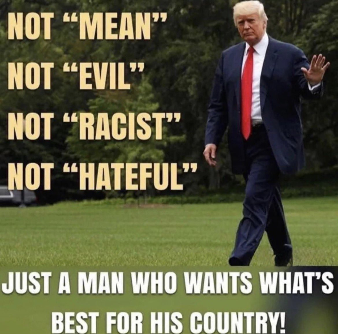 Independents For Trump tweet media