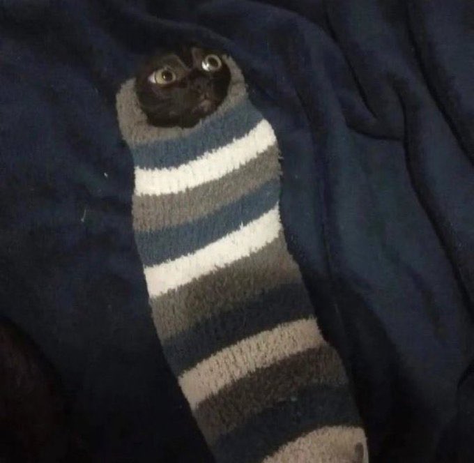 DDDGFRjuufdysP6 tweet media