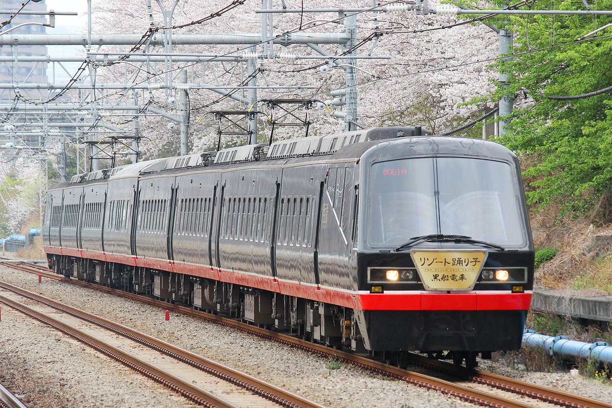 ぱぁーとりぃ tweet media