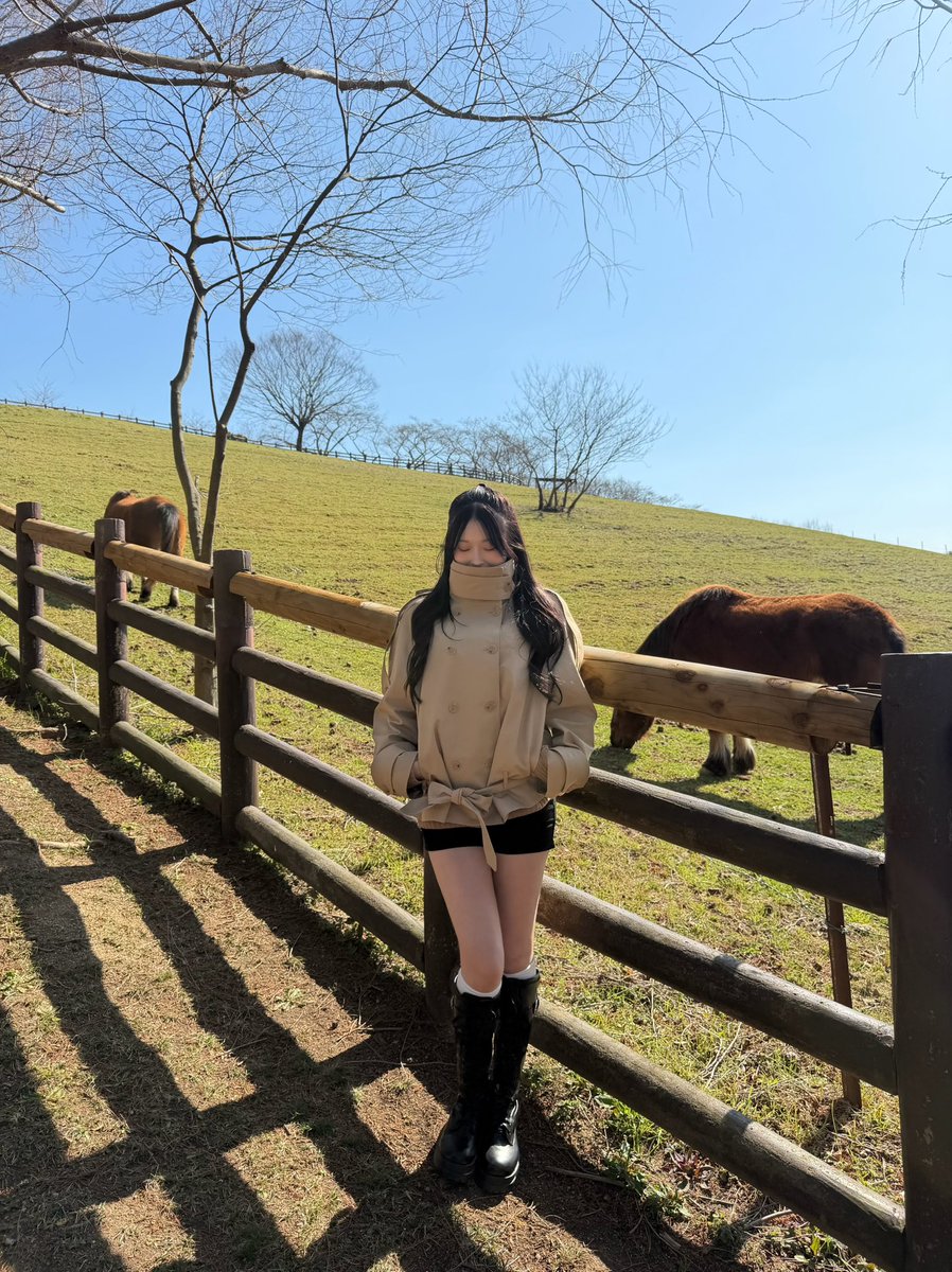 かっぱちゃん tweet media