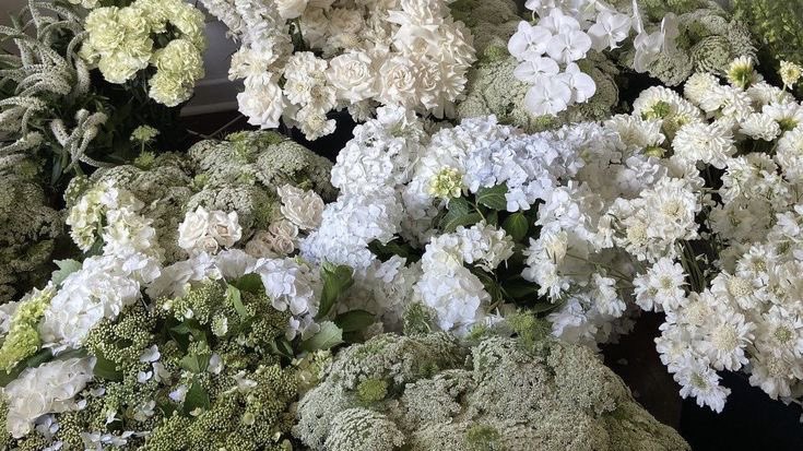 lucía ౨ৎ tweet media