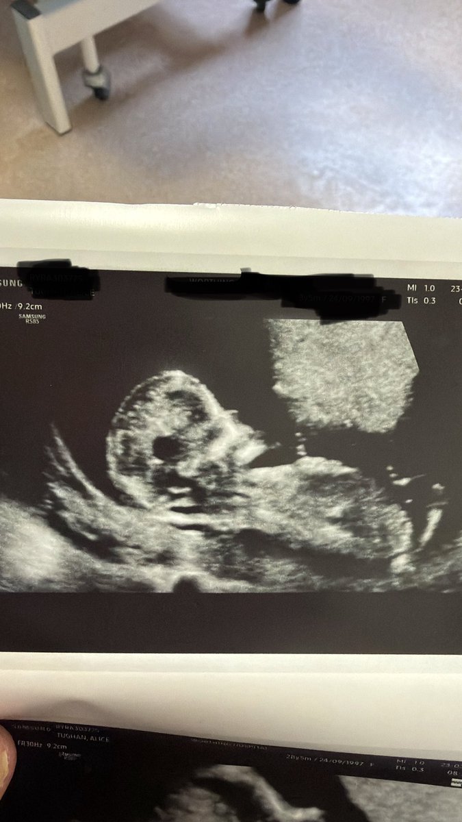 Lee’s Football Adventures tweet media