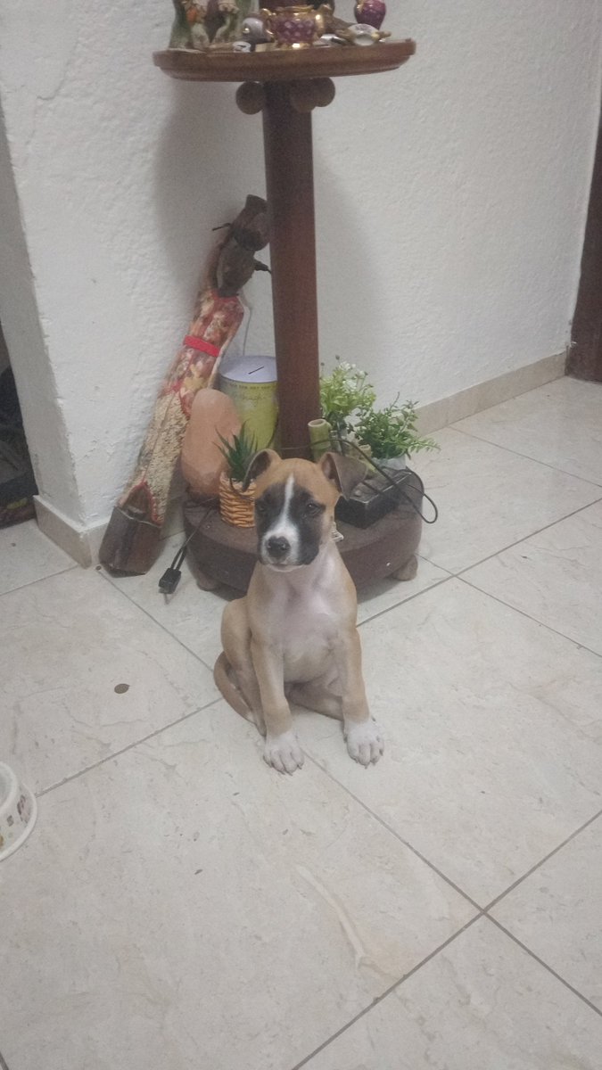 Cerquillito 🔪 tweet media