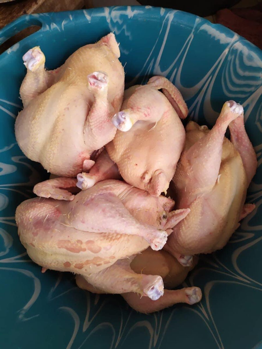 CHAMPION D’AFRIQUE 🇸🇳 ⭐️⭐️ tweet media