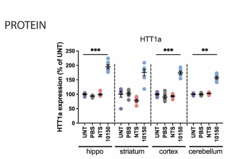 RNAiAnalyst's tweet image. $qure $alny potentially bad news for non-htt1a-targeting approaches in #Huntington's...and would also explain why $ions/Roche ASO did worse than placebo...

In mouse models, flull-length Htt-targeting silencer actually INCREASES the pathogenic htt1a (from supp materials in