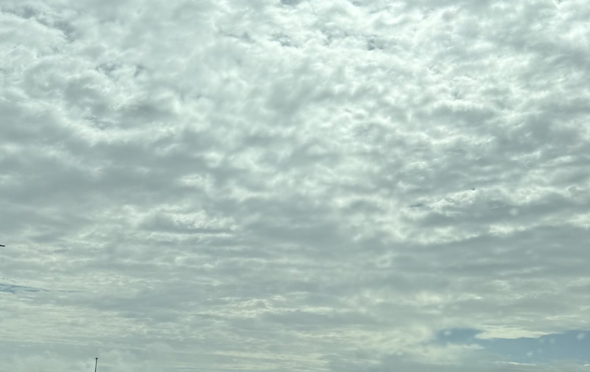 シニア tweet media