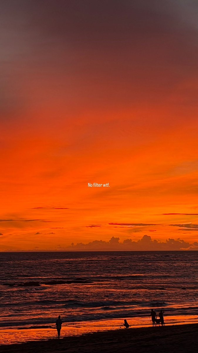 Oltean 444 tweet media