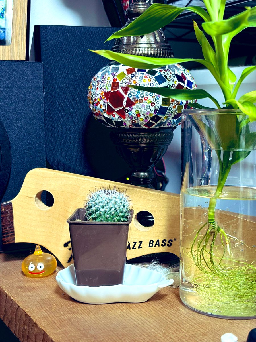 てつじ tweet media