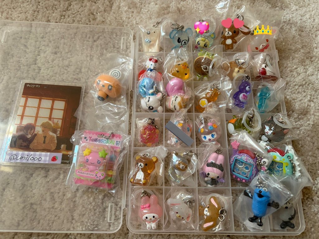 ちぃ坊 tweet media